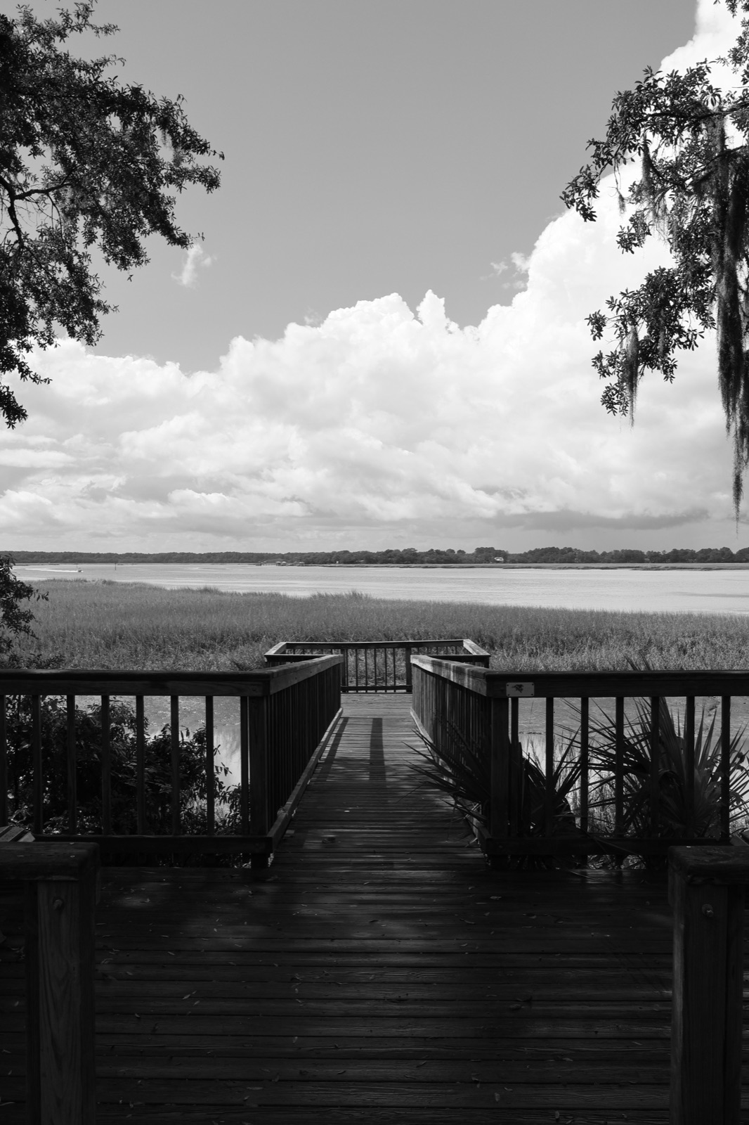 A boardwalk leading out over a coastal salt marsh.